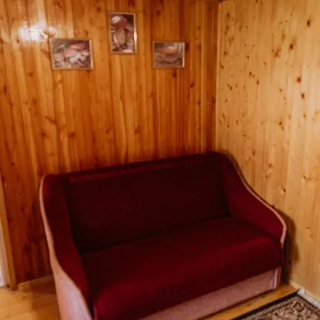 акорди плеса Yaremtche