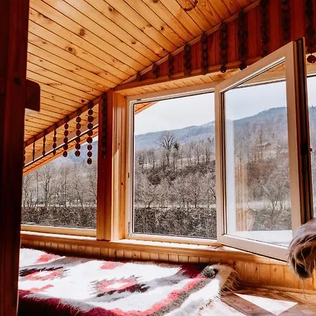 акорди плеса