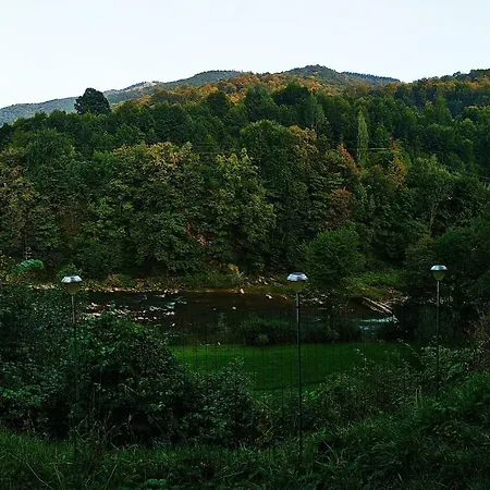 акорди плеса