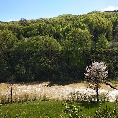 акорди плеса Yaremche