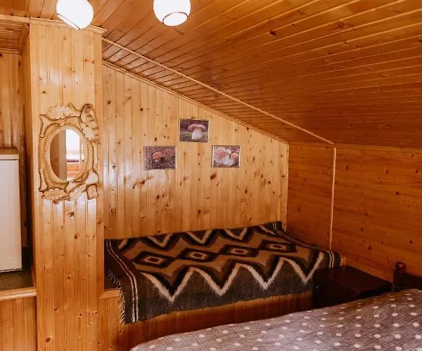 акорди плеса Orman Evi *