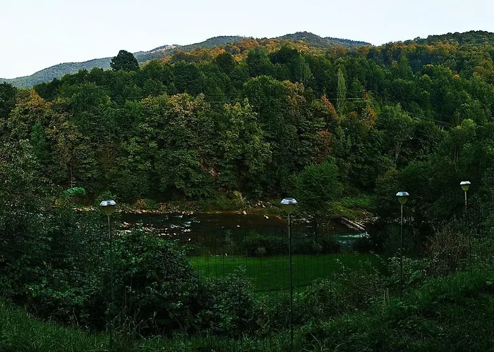 акорди плеса